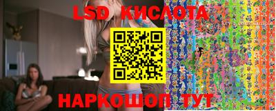 мдпв Бийск