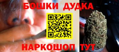 мдпв Бийск