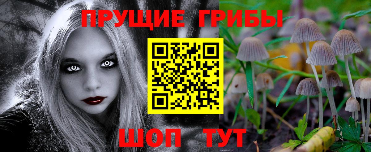 Галлюциногенные грибы Psilocybine cubensis  Вход с VPN  Каменск-Шахтинский 