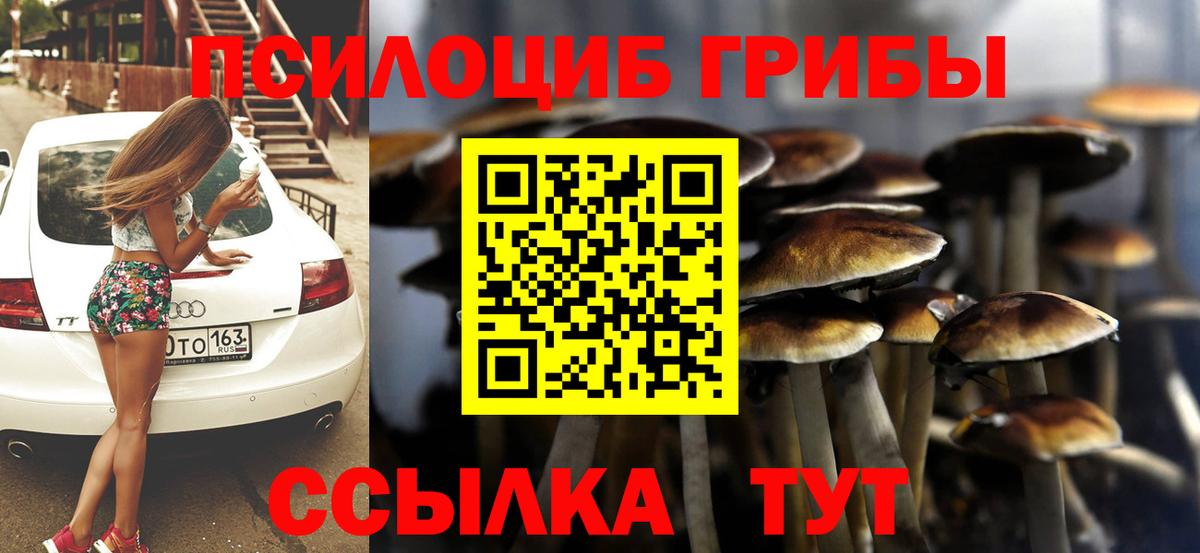 Галлюциногенные грибы MAGIC MUSHROOMS Каменск-Шахтинский